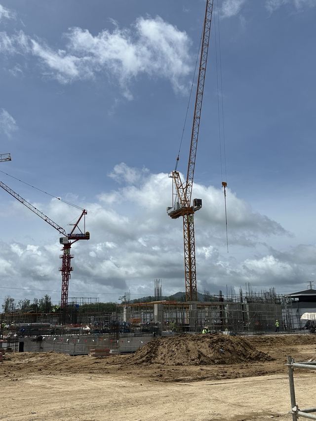 Tower cranes and structural columns rising on the construction site